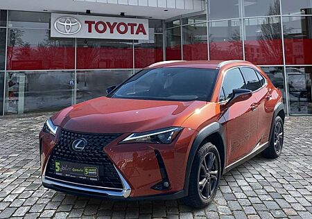 Lexus UX 250h UX 250 h Style Edition zuverlässiger Crossover