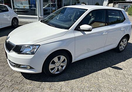 Skoda Fabia Ambition 8fach Bereift mtl.Rate 89,-€