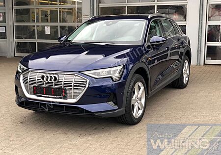 Audi e-tron 50 Quattro AHK Standhzg.