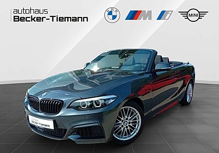 BMW 218 i Cabrio M Sport / Aut. / RFK / HiFi / Navi