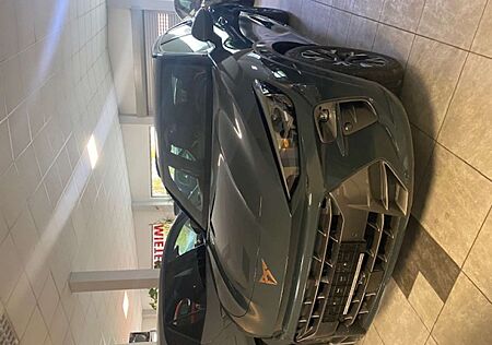 Cupra Terramar 1.5 eTSi DSG AHK Leder Edge