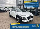 Hyundai Kona 1.6 TGDI Navi / Schiebedach / Kamera / Shzg