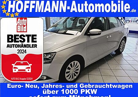 Skoda Fabia Ambition PDC,Allwetter,App-Con.