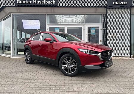 Mazda CX-30 Exclusive 360° ACC Matrix Freisprech Klimaaut Sitz