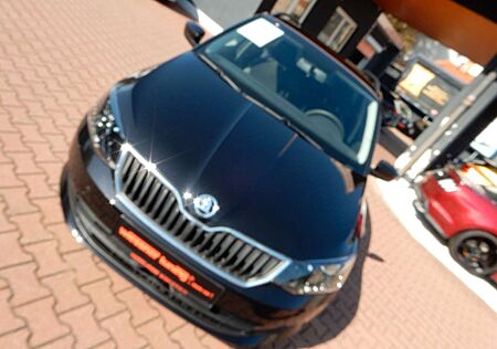 Skoda Fabia Combi Ambition, Klima, Navi