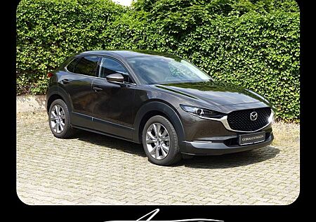 Mazda CX-30 SKYACTIV-G 150PS Automatik SELECTION + DESIGN-P. +