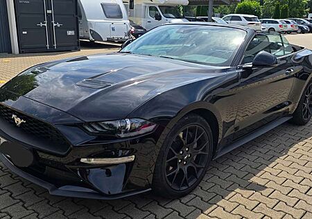 Ford Mustang Basis Convertible