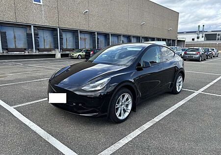 Tesla Model Y RWD