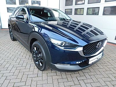 Mazda CX-30 2.5L e-SKY-G140 Homura  LED/BSM/Kamera/MRCC/"AT"