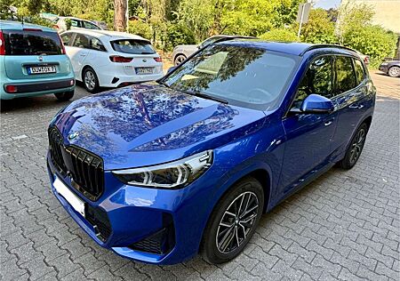 BMW X1 18 d sDrive M Sport/AHK/360Kamera/Lenkhzg
