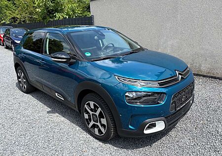 Citroën C4 Cactus Citroen Shine/Navi,Klima,R.Kamera,Panoramadach