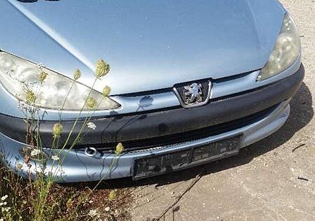 Peugeot 206 Grand Filou