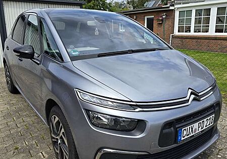 Citroën C4 Spacetourer Citroen Rip Curl
