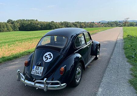 VW Käfer Volkswagen