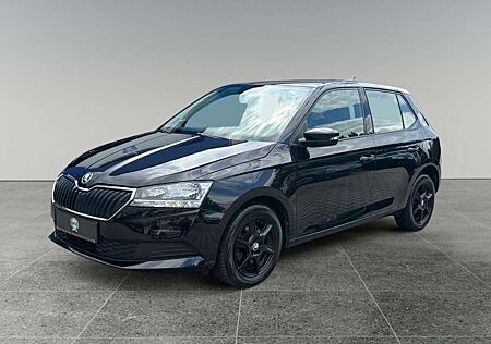 Skoda Fabia Ambition 1Hand/Tüv&Service Neu/8fach/Sitzh