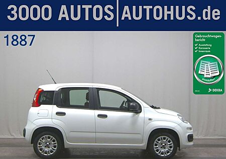 Fiat Panda 1.2 Shz PDC