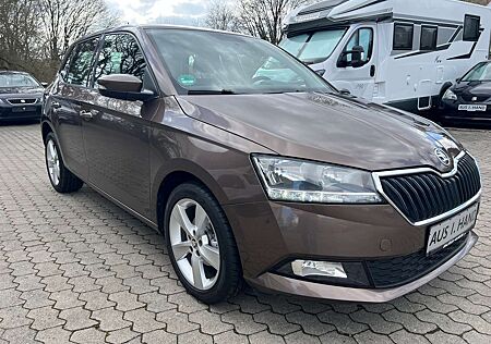 Skoda Fabia Cool Plus 1 Hand Top gepflegt