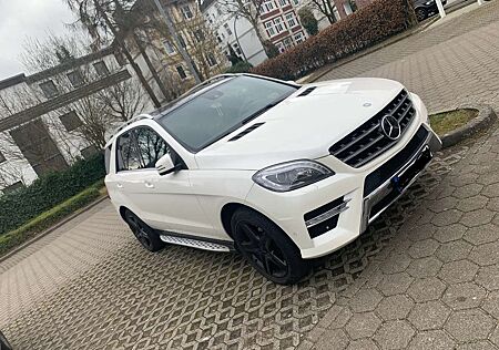 Mercedes-Benz ML 350 CDI BlueTec Edition 1 (166.024)