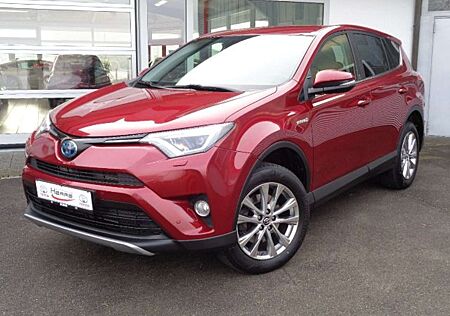 Toyota RAV 4 RAV4 Hybrid 2.5 4x4 Hybrid Team Deutschland