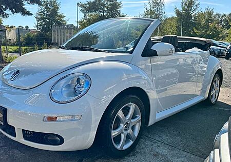 VW New Beetle Volkswagen Cabrio 1.6 Style , SH,Tempomat,Klima
