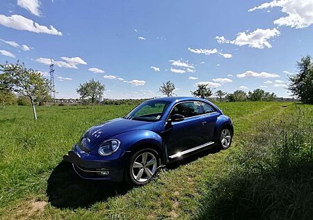 VW Beetle Volkswagen The 2.0 TSI DSG Sport