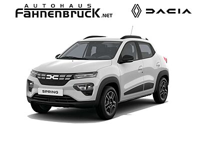 Dacia Spring Business