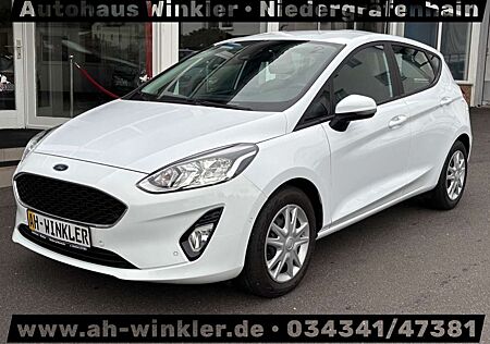 Ford Fiesta Cool & Connect Winterpaket DAB+ Parksyst