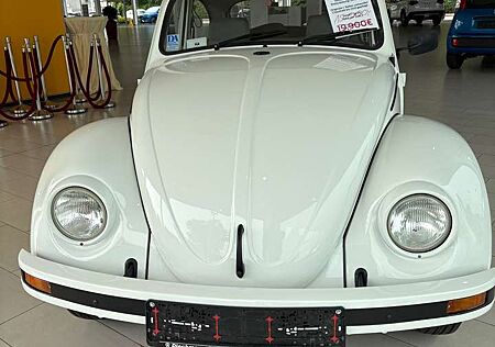 VW Käfer Volkswagen die wunderschönen komplett neu lackiert