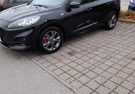 Ford Kuga 2.0 EcoBlue Hybrid ST-LINE