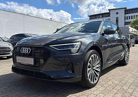Audi e-tron 55 ACC HuD PANO NIGHT DIGI-MATRIX 21Z 360