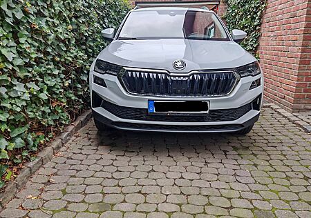 Skoda Karoq 2.0 TDI 4x4 DSG Style, AHK,Tüv&Insp.NEU!