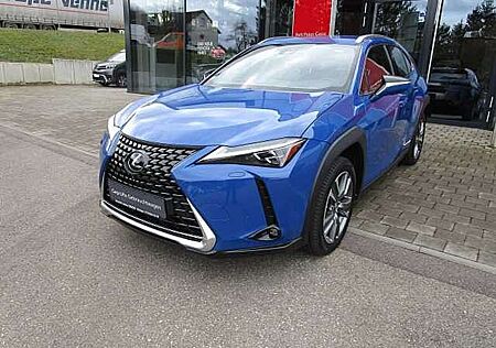 Lexus UX 300e Luxury Line Navi/Leder