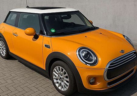 Mini Others LED PDC Panoramadach Sitzh