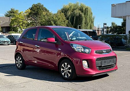 Kia Picanto Dream Team Klimaauto*Allwetter-Alu*