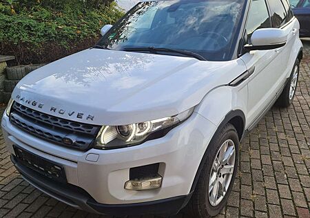 Land Rover Range Rover Evoque TD4 Pure