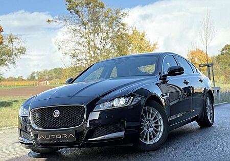 Jaguar XF Portfolio |XENON|NAVI|R.KAM|AHK|