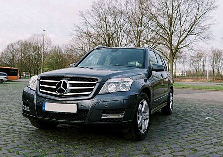 Mercedes-Benz GLK 220 CDI BlueEfficiency Sport Edition (204.902)