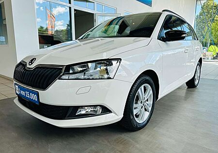 Skoda Fabia 1.0 TSI Style DSG Navi SHZG SmartLink PDC