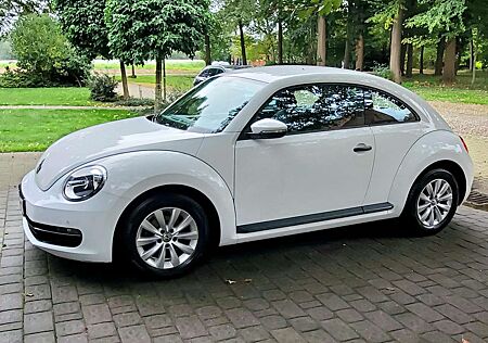 VW Beetle Volkswagen The 1.6 TDI DPF CUP