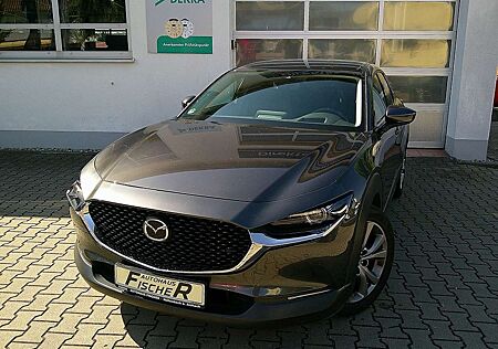 Mazda CX-30 SKYACTIV 150 AT Selection AHK/SHZ/LHZ/NAVI