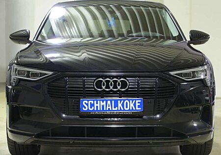 Audi e-tron 55 quattro advanced Navi DAB GRA LM20
