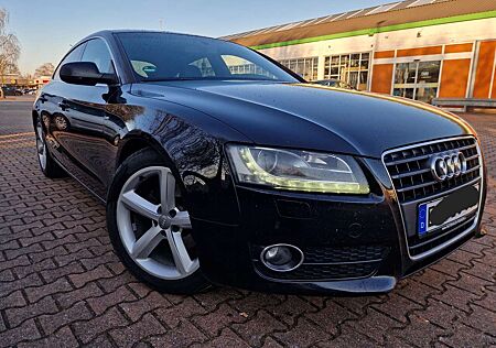 Audi A5 2.0 TDI S-Line TÜV UND ZAHNRIEMEN SIND NEU