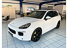 Porsche Cayenne S/GTS/PANO/BOSE/AHK/ACC/360°