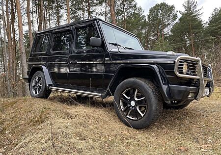 Mercedes-Benz G 300 GD W463