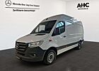 Mercedes-Benz Sprinter 317 Kasten L2H2 RWD 360°SHZ GRA Schwing