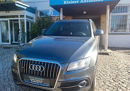 Audi Q5 3.0 TDI S Line Plus /Sthzg/Bi Xenon/Panorama