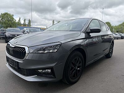 Skoda Fabia 1,0TSI DSG Selection PDC Anschlussgarantie