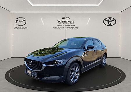 Mazda CX-30 e-SKYACTIV-G HYBRID+TAKUMI+ALLWETTERREIFEN