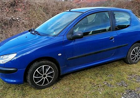 Peugeot 206 1.1 mit Autogasanlage