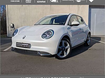 GWM ORA 03 ORA 03 300 >>ehemalige UPE: 39.680 EUR<<